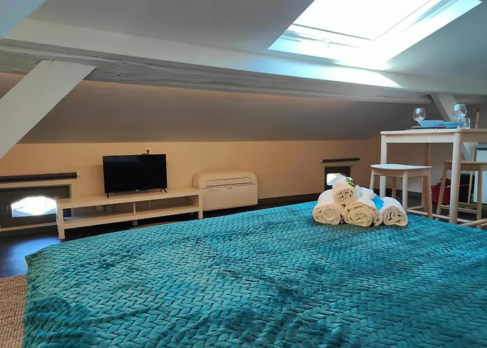 L'alcove - Fibre - Clim - Centre-ville Apartamento Albi